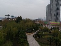 《恩宠之星》好看吗？经典观后感锦集