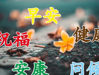 描写全力以赴的经典句子