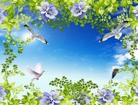 描写鸟语花香的语句摘抄
