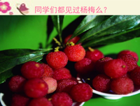 《读文想句》的句子