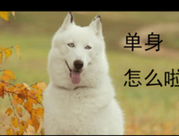本来国庆要结婚，却发现男票去嫖娼，他诚恳认错我该原