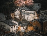 《我们无处安放的婚姻》读后感1000字