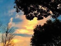 《烟雨斜阳》好看吗？经典观后感锦集