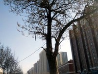 最全的《风开时雾散尽》佳句摘抄大全