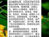 《祁连山 莲花血》读后感摘抄