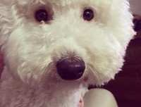 我怎样写小说读后感100字