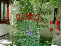 我喜欢的……句子