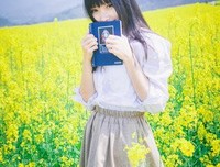 风吹起花瓣，如同破碎的流年句子大全