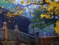 存一剪清宁光阴于生命书页上——为他名句欣赏