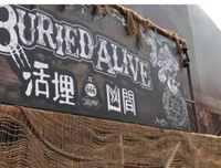 《万圣节前夜的谋杀案》影评100字
