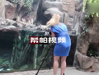 成功的人，是懂得借助别人帮助的人