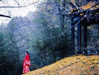 人生如局（深度好文）