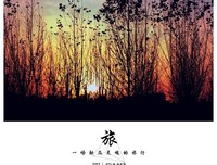 朝闻夕死句子大全
