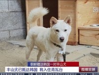 抵达一个人的内心难，片叶不沾身地离开更难| 深耕计划