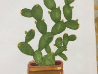 《植物传奇》读后感精选