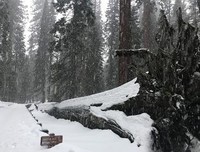 《雪山惊魂3》经典观后感有感