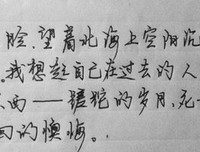 《当心村上春树》读后感摘抄