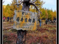 《澄明淡雅》的句子
