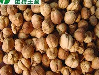 豆蔻年华，谁许我一上样容殇！的句子