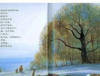 月下看猫头鹰读后感精选