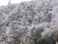 《冰山上的来客》影评精选
