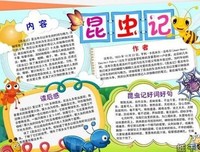 我生命的速度读后感1000字