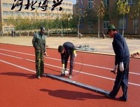 《机械篮球》经典观后感1000字