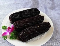 那个黑老头去哪了