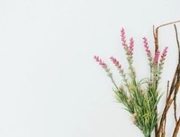 不见此文，终生遗憾