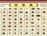 有关百草集的句子