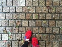 一树幽花的句子集