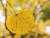 最新的《你若安好，第气成当气界是晴小不格开》经典句