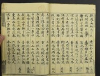 2019野真到小姐名言