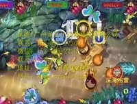 陪着上帝去流浪读后感精选