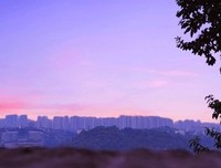 《治愈系电台》的句子