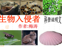 书籍经典的句子