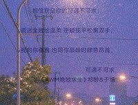 《纯爱》影评摘抄