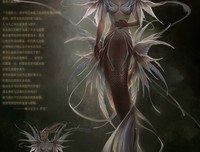《人鱼帝国》经典观后感1000字