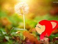 情节语录