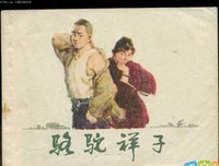 《Z的悲剧》的读后感大全