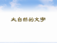 小石头句子