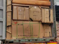 玩具内藏4000只虫卵，外来物种正在你身边悄悄繁衍。