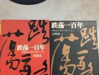 《跌荡一百年（上）》读后感锦集