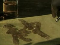 《巫师的骗术》经典影评集