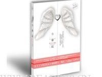 《小命运》读后感精选