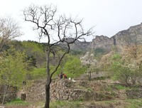 小村