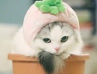 累了句子