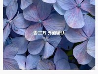 随风而逝的名句_关于随风而逝的名句