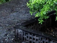 我总是在清晨听雨，深夜在雷鸣电闪里醒来。