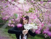 关于炊烟袅袅的唯美语录